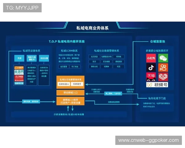 由于订阅流量与社交闭环贯通 赛事组织体系在本阶段实现了ROI水平的历史性突破